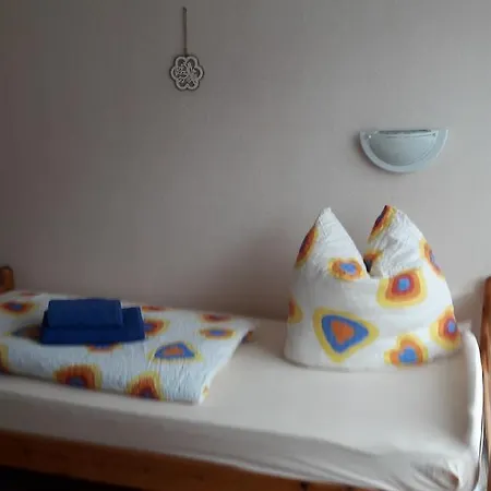 Steeg * 브라운라제