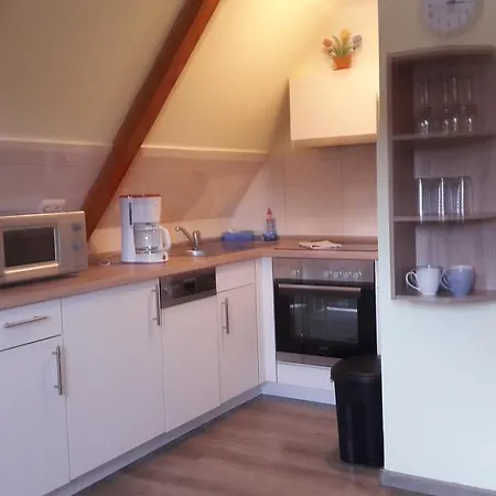 Steeg * 브라운라제